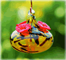 Hummingbird Feeders