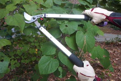 GARDEN "LIGHT"  LOPPERS