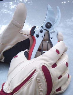 Barnel's B7 & B8 Precision Pruners